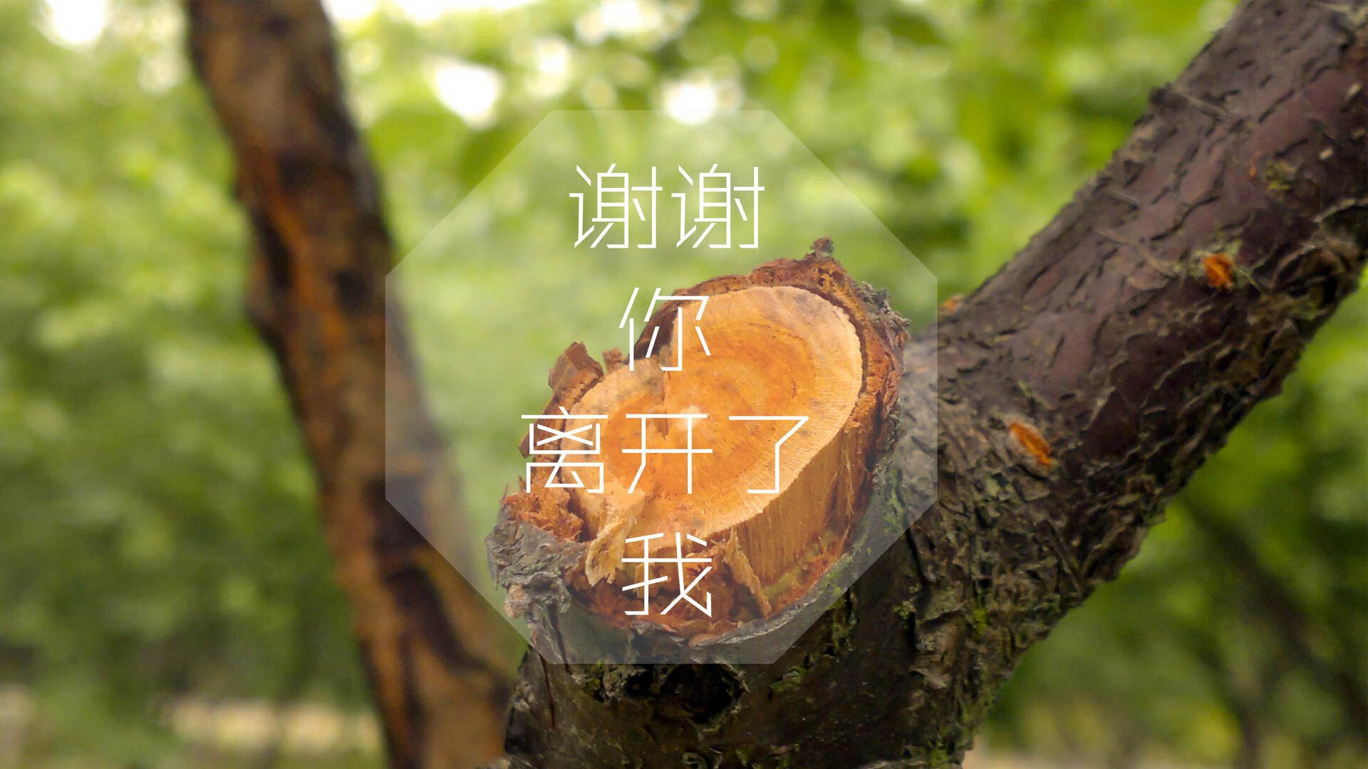 数字体育推动中国足球迈向智能化、信息化，数字体育市场